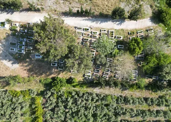 Mezarlıklarda pikniği yasakladı