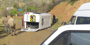 Köy servisi şarampole devrildi: 10 yaralı