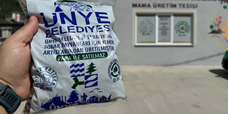 Artan iftar yemekleri sokak hayvanları için mama oldu