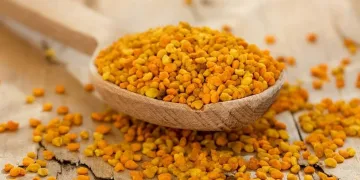 Bağışıklığı düşüren polen alerjisine dikkat