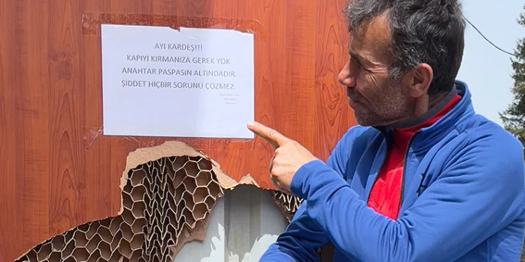 Ayı saldırılarından bıktı, çareyi ayıya not yazmakta buldu
