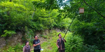 Artvin ormanlarında zararlı böceklere karşı kuşlar devrede