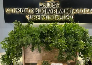 Bursa’da narkotik operasyonu