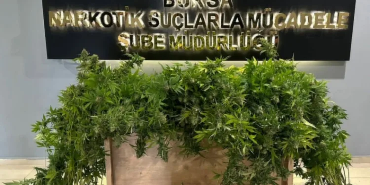 Bursa’da narkotik operasyonu