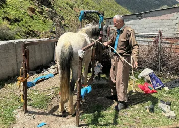 20 yıldır nalbantlık yapıyor