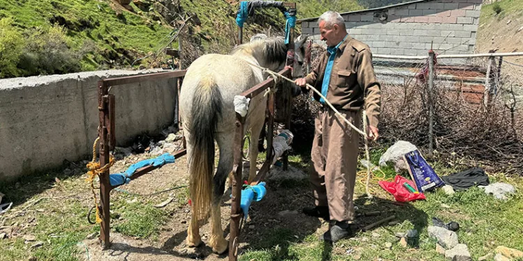 20 yıldır nalbantlık yapıyor