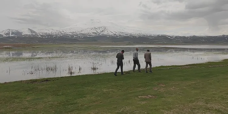 Sarısu Ovası’nın karlı Süphan Dağı’yla kartpostallık görüntüsü