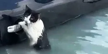 Aracın kapısına tutunarak yardım bekledi