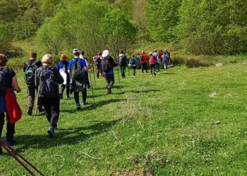 Mudanya Kent Konseyi doğa yürüyüşünde buluştu