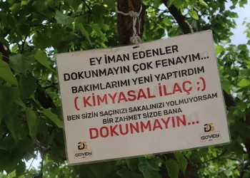Baba yadigârı ağacı korumak için ilginç bir yönteme başvurdu