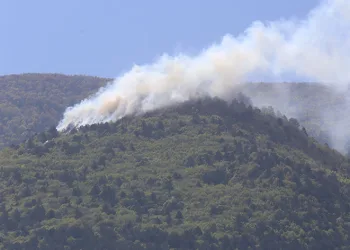 Uludağ eteklerinde çıkan yangın söndürüldü