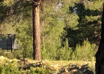 Bağ evinde korkunç ölüm