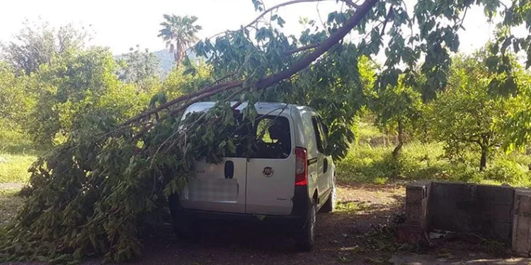 45 dakika yağdı, ağaçlar devrildi, çatı uçtu