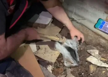 Kiralık araçla cinayet işleyen zanlılara 3 ilde operasyon