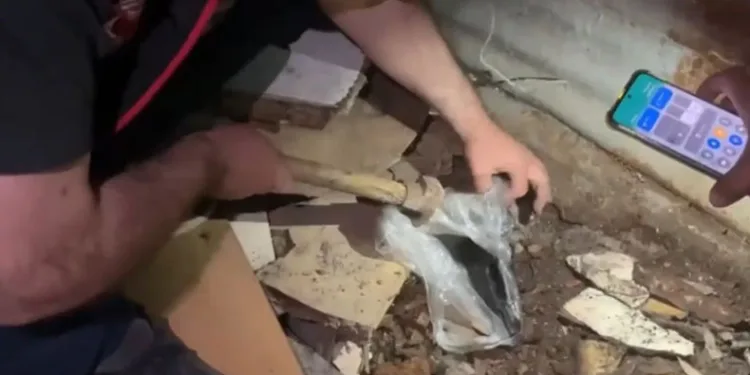 Kiralık araçla cinayet işleyen zanlılara 3 ilde operasyon