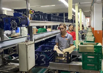 Antalya Hali’nin yükünü kadınlar çekiyor