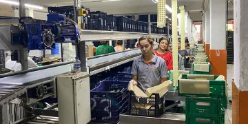 Antalya Hali’nin yükünü kadınlar çekiyor