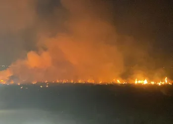 Erzincan’da örtü yangını itfaiyenin müdahalesiyle söndürüldü