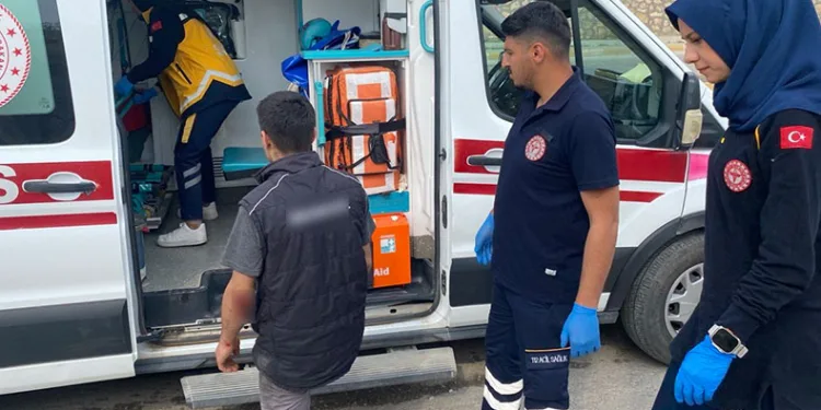 Köpeğe çarpmamak için motoru devirdi