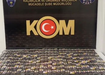 Şırnak’ta asayiş ve terör operasyonu