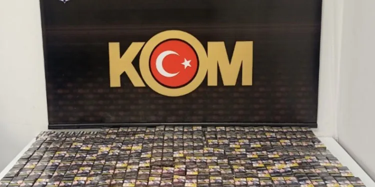 Şırnak’ta asayiş ve terör operasyonu