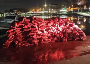 Kaçak avlanılmış 3 ton midye ele geçirildi