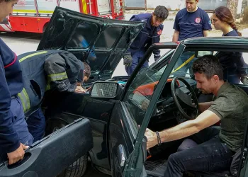 Antalya’da otomobilde yılan alarmı