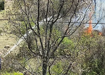Çankırı’da orman yangını