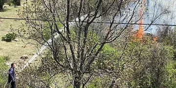 Çankırı’da orman yangını