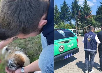Köpeğe alkol içirerek internette paylaştı