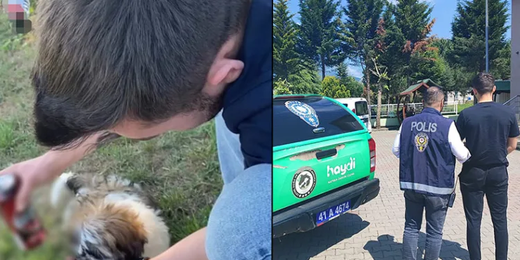 Köpeğe alkol içirerek internette paylaştı