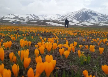 Eğrigöl tabii güzellikleriyle hayran bırakıyor