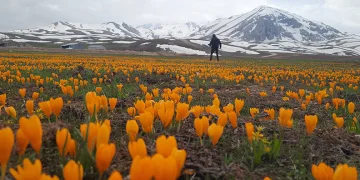 Eğrigöl tabii güzellikleriyle hayran bırakıyor