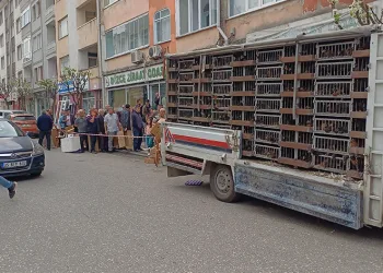 Kuyruğun sebebini duyan şaştı kaldı