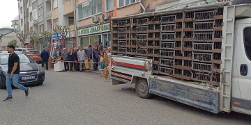 Kuyruğun sebebini duyan şaştı kaldı