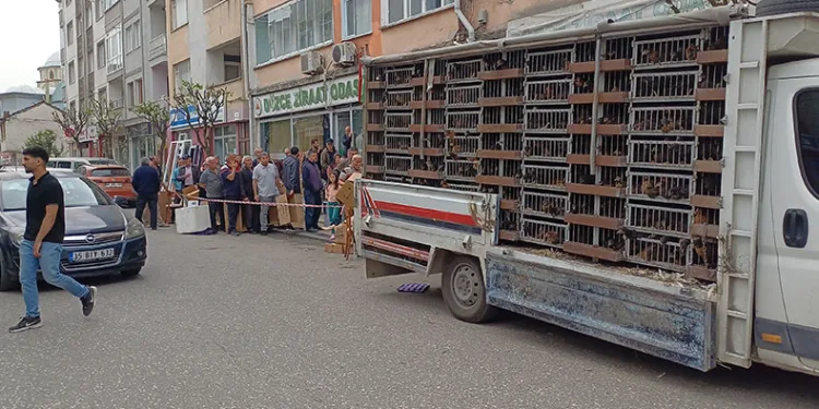 Kuyruğun sebebini duyan şaştı kaldı