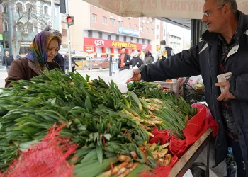 Çiriş otu tezgahlarda yerini aldı