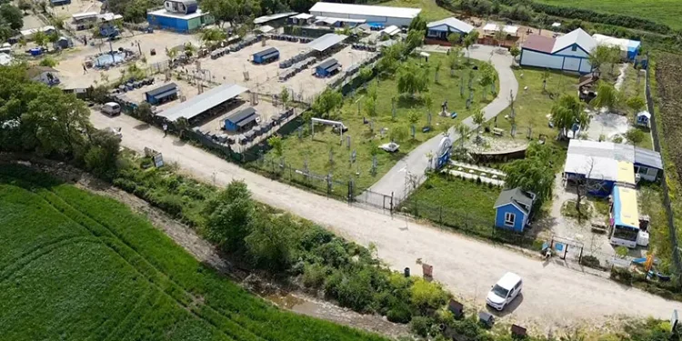 İnsanlar tarafından şiddete uğramışlardı, emekliliğe ayrıldılar
