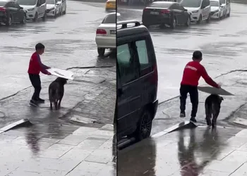 Küçük çocuktan yağmur altında insanlık dersi