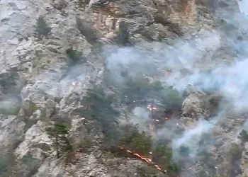 Şahinkaya Kanyonu’nda orman yangını