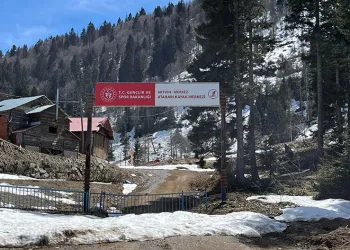Artvin’de aç kalan ayılar kayak tesisine dadandı