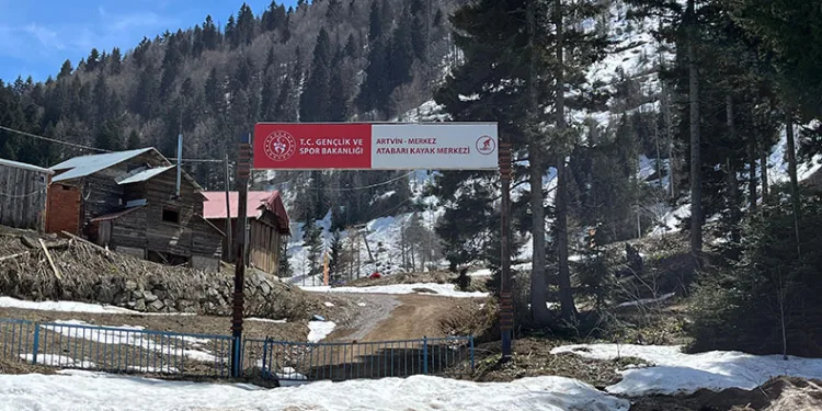 Artvin’de aç kalan ayılar kayak tesisine dadandı