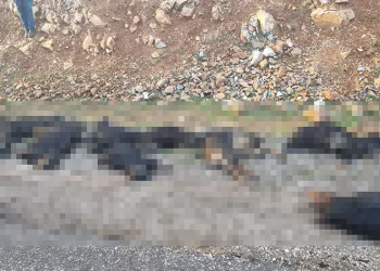 Mutki’de yıldırım düştü