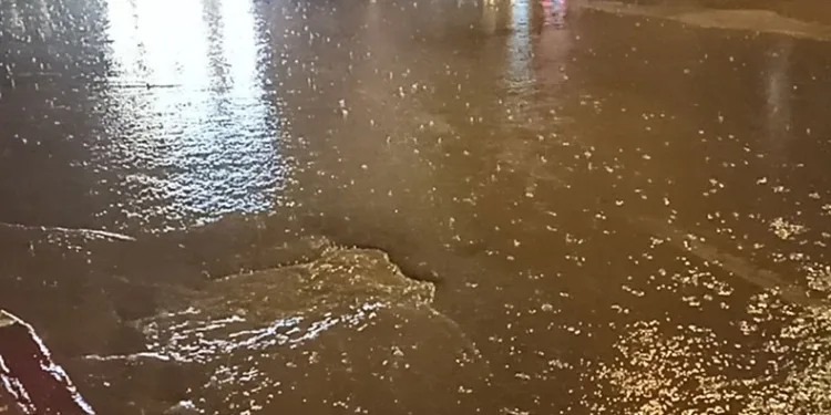 Erciş’te bayram öncesi yağmur etkili oldu