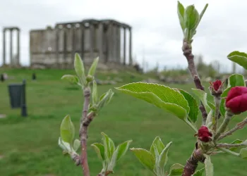 Aizanoi Antik Kenti’nde ilkbahar güzelliği