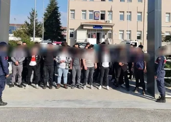 Köpek dövüştüren 34 kişiye operasyon