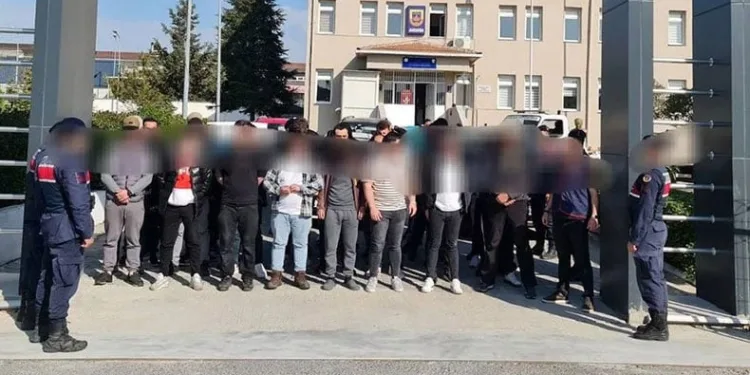 Köpek dövüştüren 34 kişiye operasyon