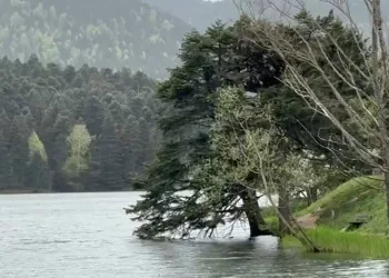 Bolu’da şiddetli rüzgar etkili oluyor