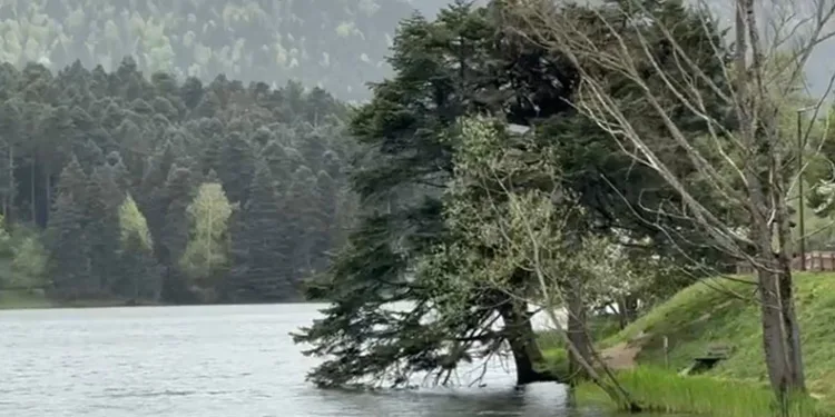 Bolu’da şiddetli rüzgar etkili oluyor