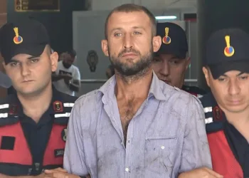 “Orman sevdalısıyım” diyen sanığa 8 yıl hapis